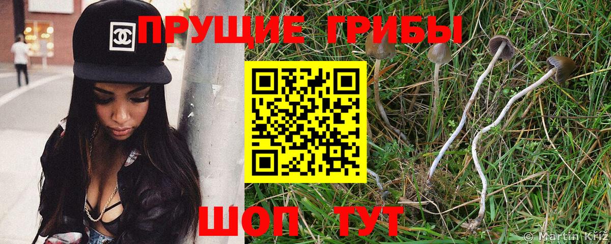 Таганрог  Галлюциногенные грибы ЛСД  Вход с VPN 